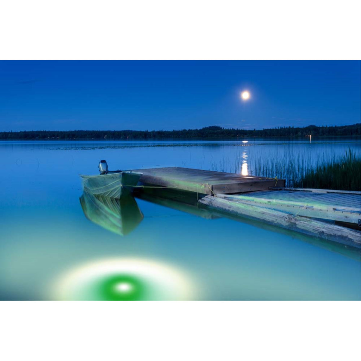 Green/White Apollo Iris Underwater Led Lighting System (40 Foot Power Cord)
