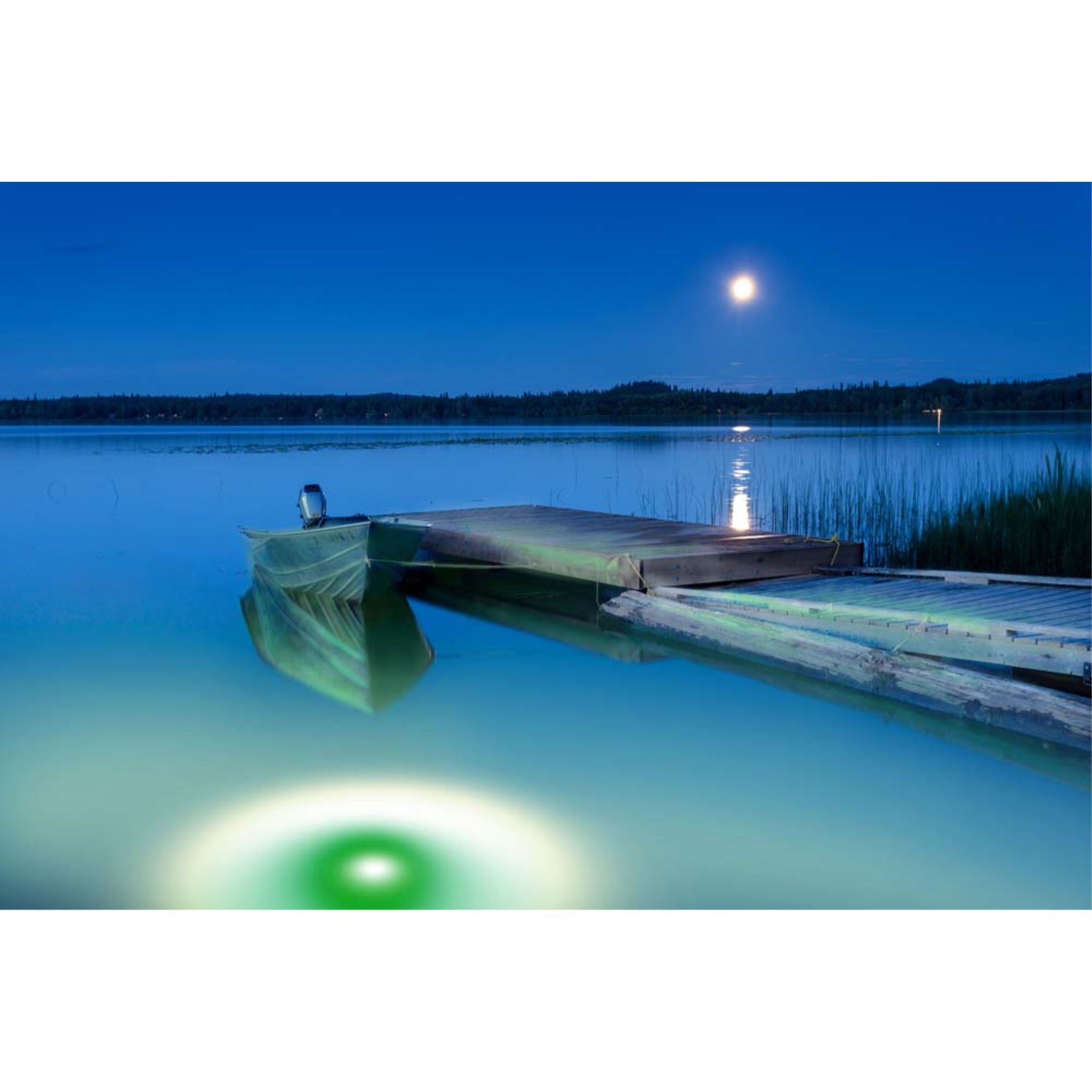 Green/White Apollo Iris Underwater Led Lighting System (80 Foot Power Cord)