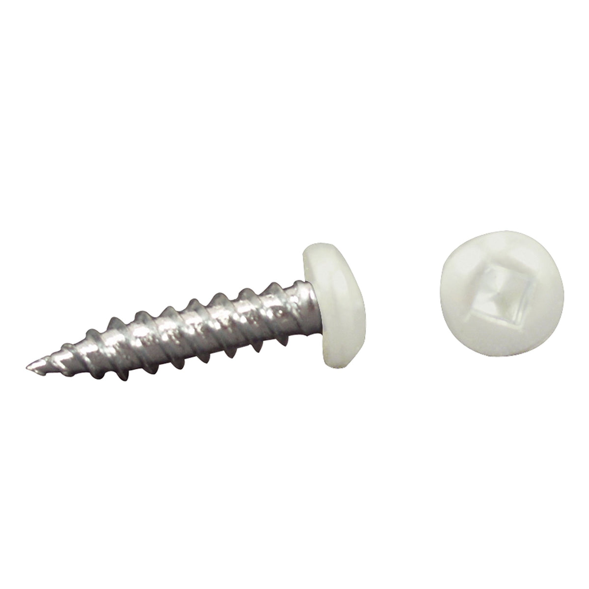 Ap Products 012-Psq50 W 8 X 1-1/4 White Pan Head Square Recess Screw - Pack Of 50
