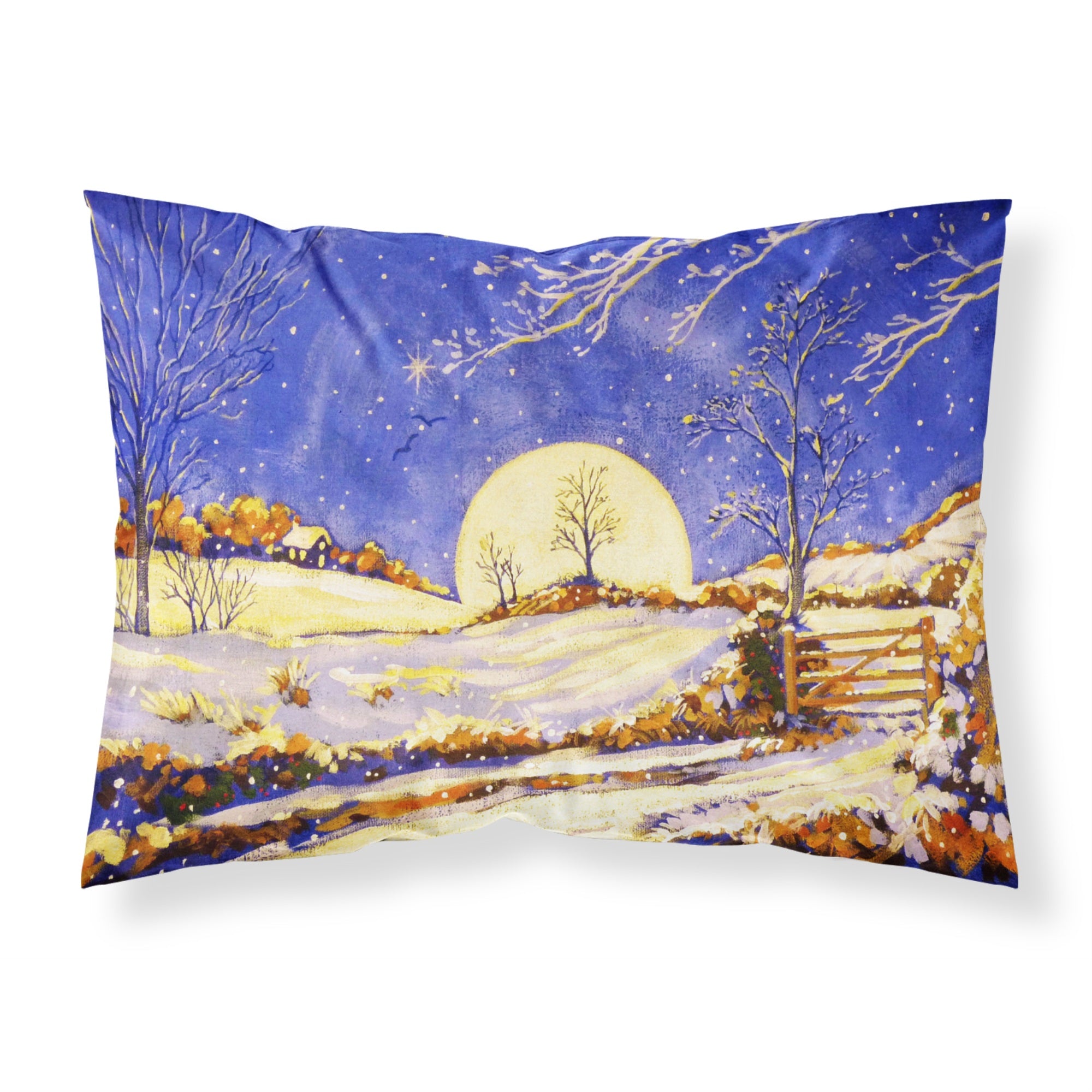 Caroline'S Treasures Winter Moonrise By Roy Avis Fabric Standard Pillowcase Ara0139Pillowcase, Multicolor