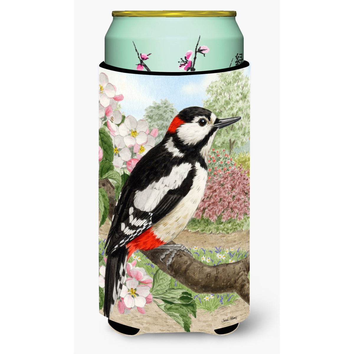 Caroline'S Treasures Woodpecker Tall Boy Koozie Hugger, Multicolor