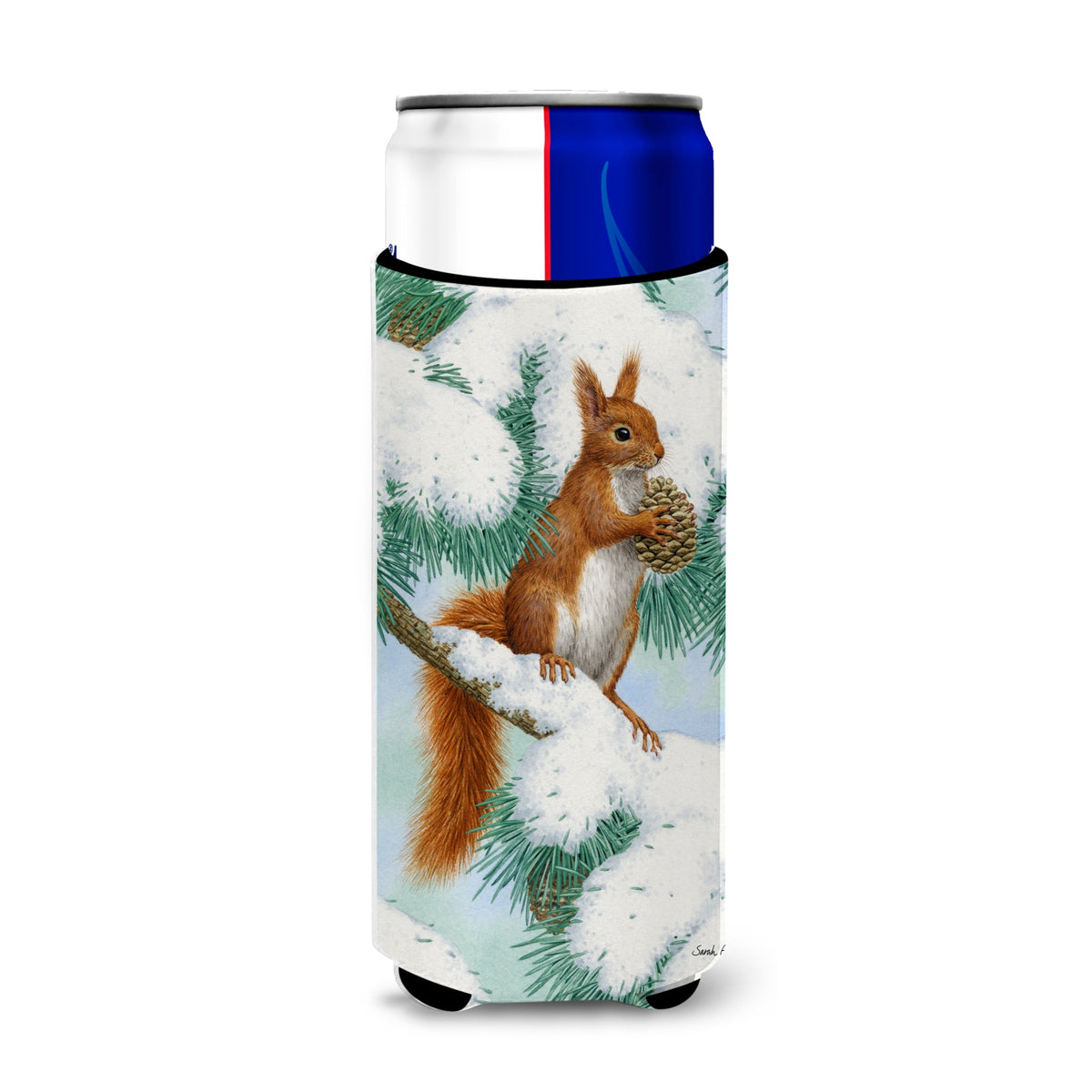 Caroline'S Treasures Red Squirrel With Pine Cone Michelob Ultra Koozies For Slim Cans, Multicolor