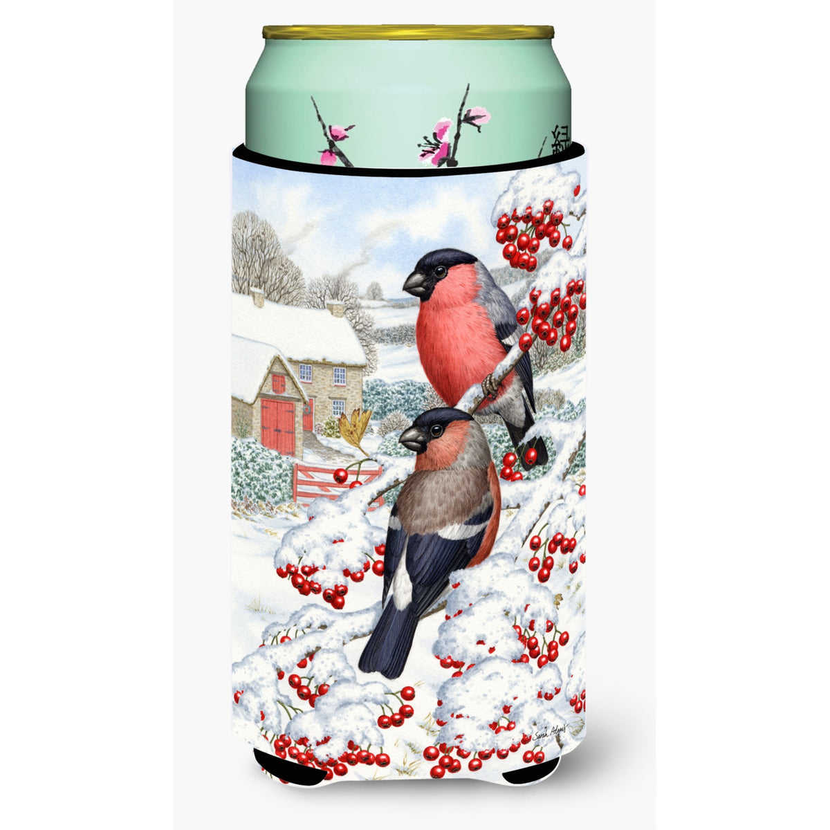 Caroline'S Treasures Asa2054Tbc Eurasian Bullfinch Tall Boy Koozie Hugger, Multicolor