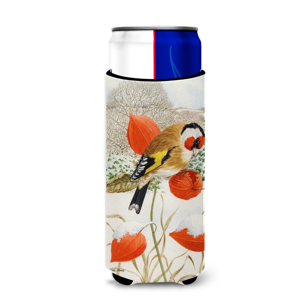 Caroline'S Treasures Asa2055Muk European Goldfinch Michelob Ultra Koozies For Slim Cans, Multicolor