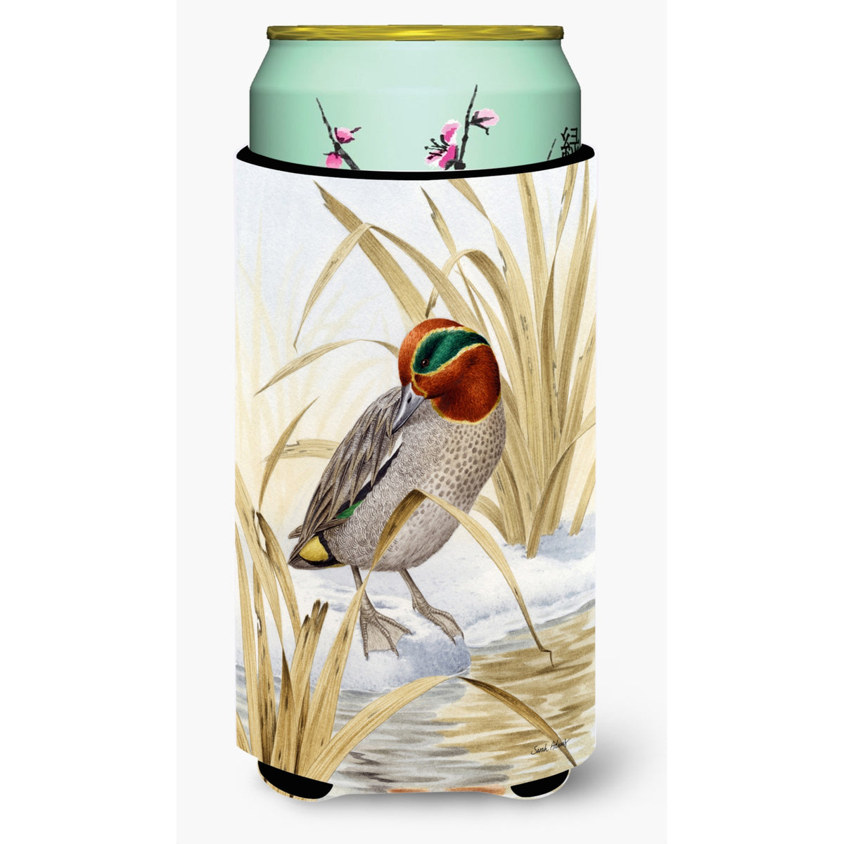 Caroline'S Treasures Eurasian Teal Duck Tall Boy Koozie Hugger, Multicolor