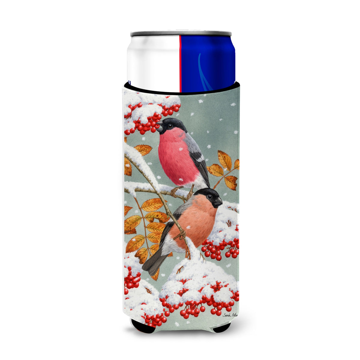 Caroline'S Treasures Asa2063Muk Eurasian Bullfinches Michelob Ultra Koozies For Slim Cans, Multicolor