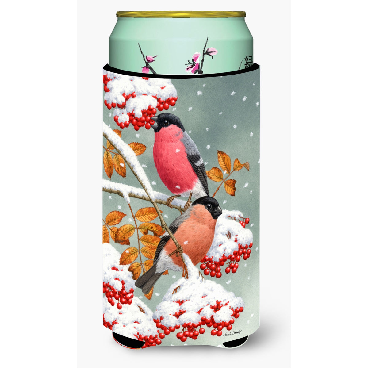 Caroline'S Treasures Asa2063Tbc Eurasian Bullfinches Tall Boy Koozie Hugger, Multicolor