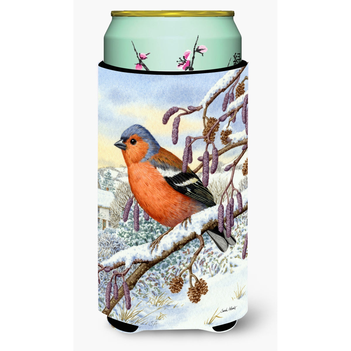 Caroline'S Treasures Asa2066Tbc Eurasian Bullfinch Tall Boy Koozie Hugger, Multicolor