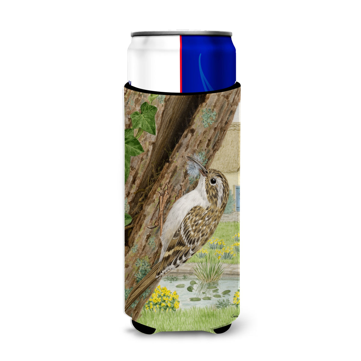 Caroline'S Treasures Asa2094Muk Treecreeper Michelob Ultra Koozies For Slim Cans, Multicolor