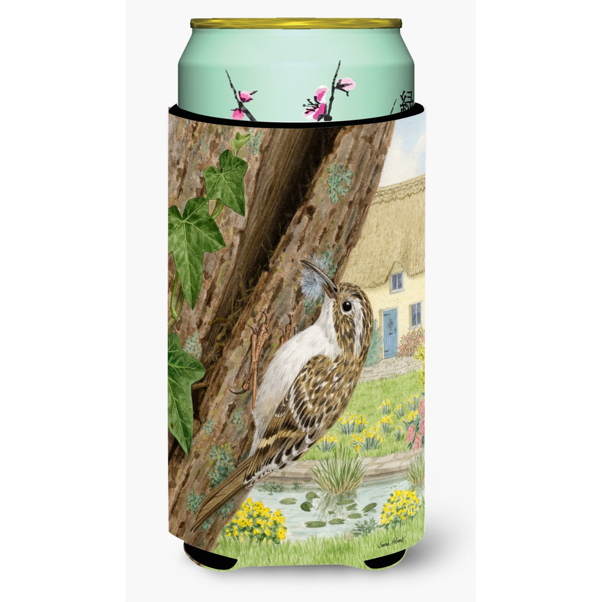 Caroline'S Treasures Asa2094Tbc Treecreeper Tall Boy Koozie Hugger, Multicolor