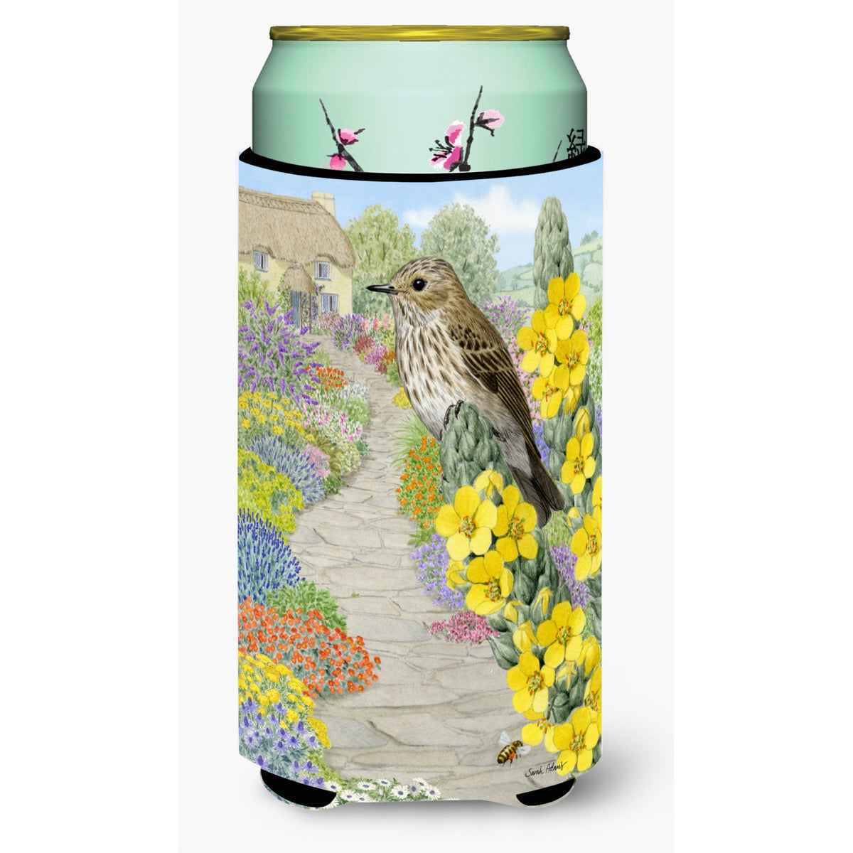 Caroline'S Treasures Asa2095Tbc Spotted Flycatcher Tall Boy Koozie Hugger, Multicolor