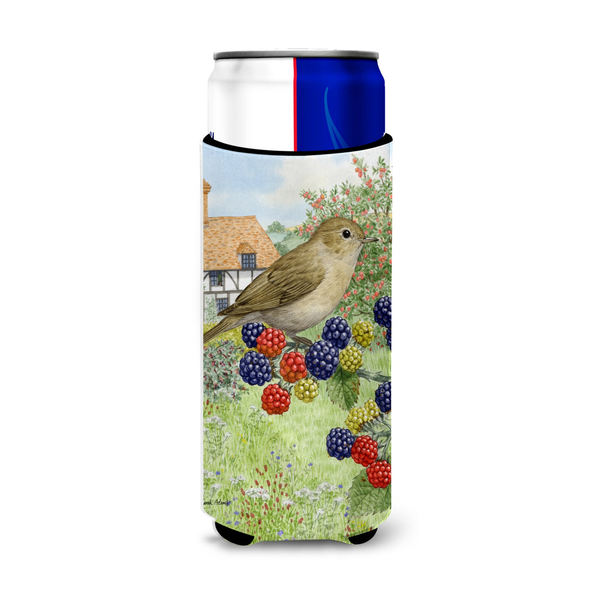 Caroline'S Treasures Garden Warbler Michelob Ultra Koozies For Slim Cans, Multicolor