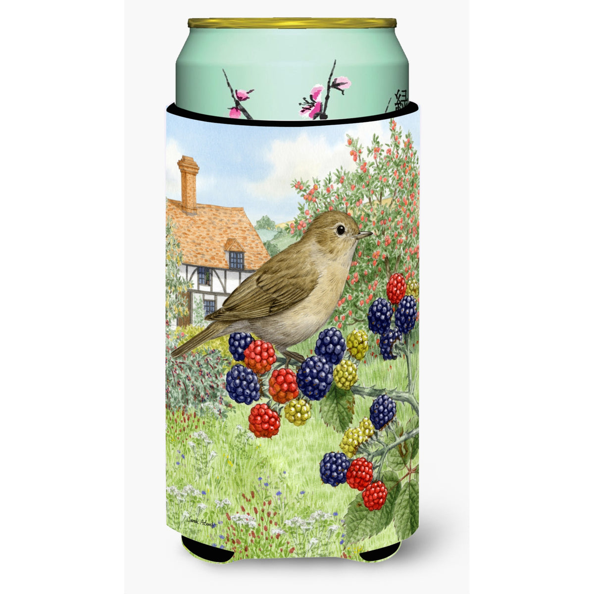 Caroline'S Treasures Garden Warbler Tall Boy Koozie Hugger, Multicolor
