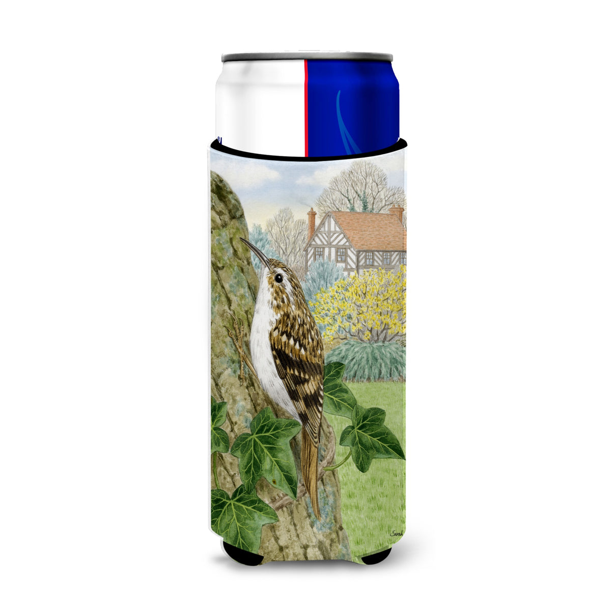 Caroline'S Treasures Asa2099Muk Treecreeper Michelob Ultra Koozies For Slim Cans, Multicolor