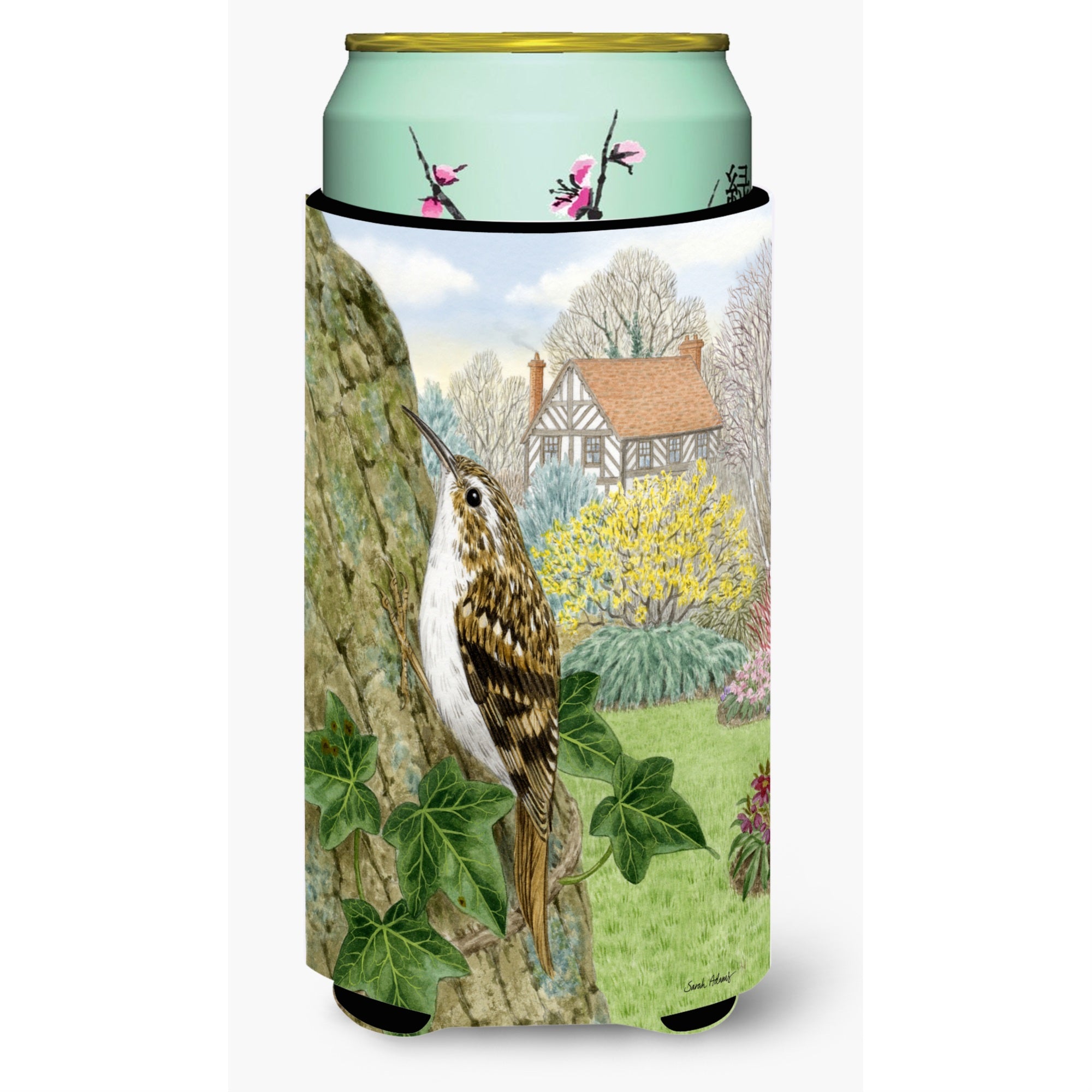 Caroline'S Treasures Asa2099Tbc Treecreeper Tall Boy Koozie Hugger, Multicolor