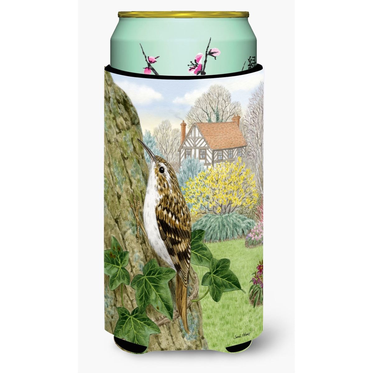 Caroline'S Treasures Asa2099Tbc Treecreeper Tall Boy Koozie Hugger, Multicolor