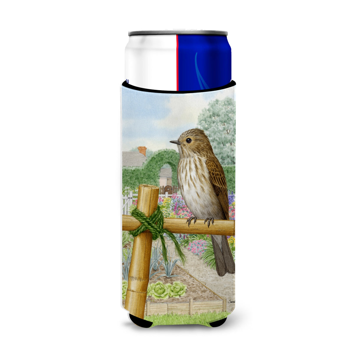 Caroline'S Treasures Asa2100Muk Spotted Flycatcher Michelob Ultra Koozies For Slim Cans, Multicolor