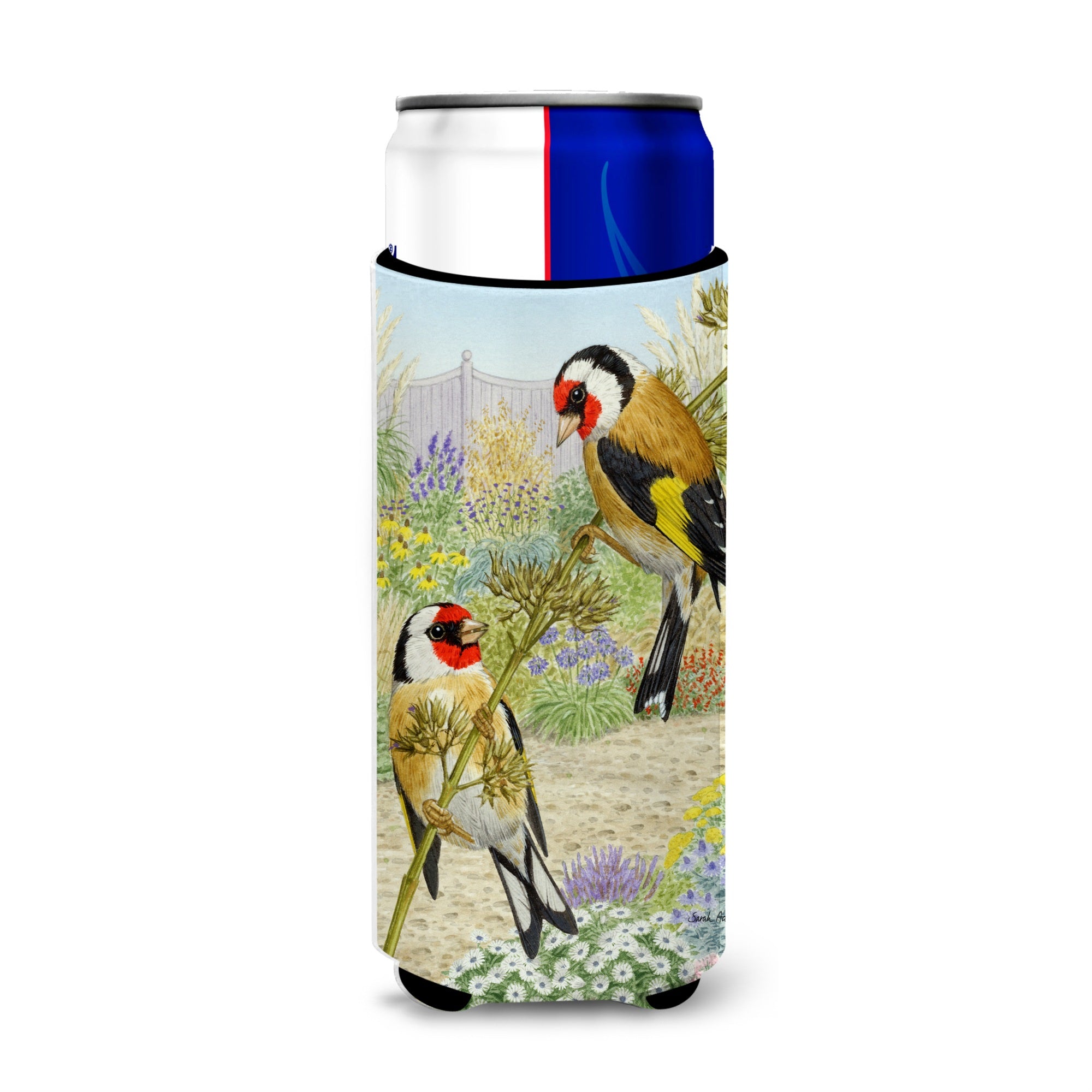 Caroline'S Treasures Asa2103Muk European Goldfinches Michelob Ultra Koozies For Slim Cans, Multicolor
