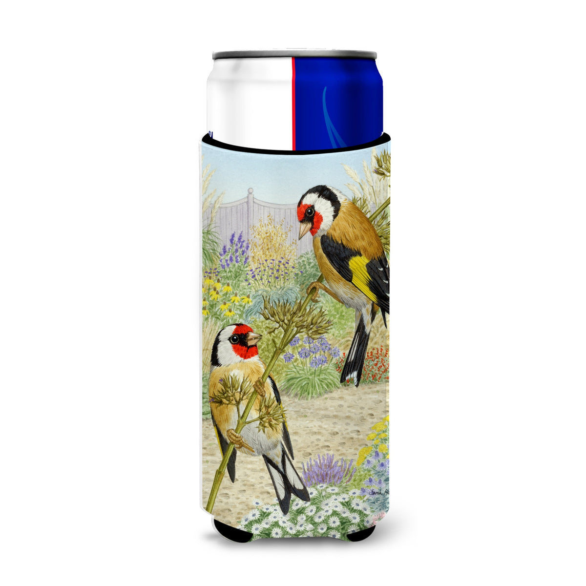 Caroline'S Treasures Asa2103Muk European Goldfinches Michelob Ultra Koozies For Slim Cans, Multicolor