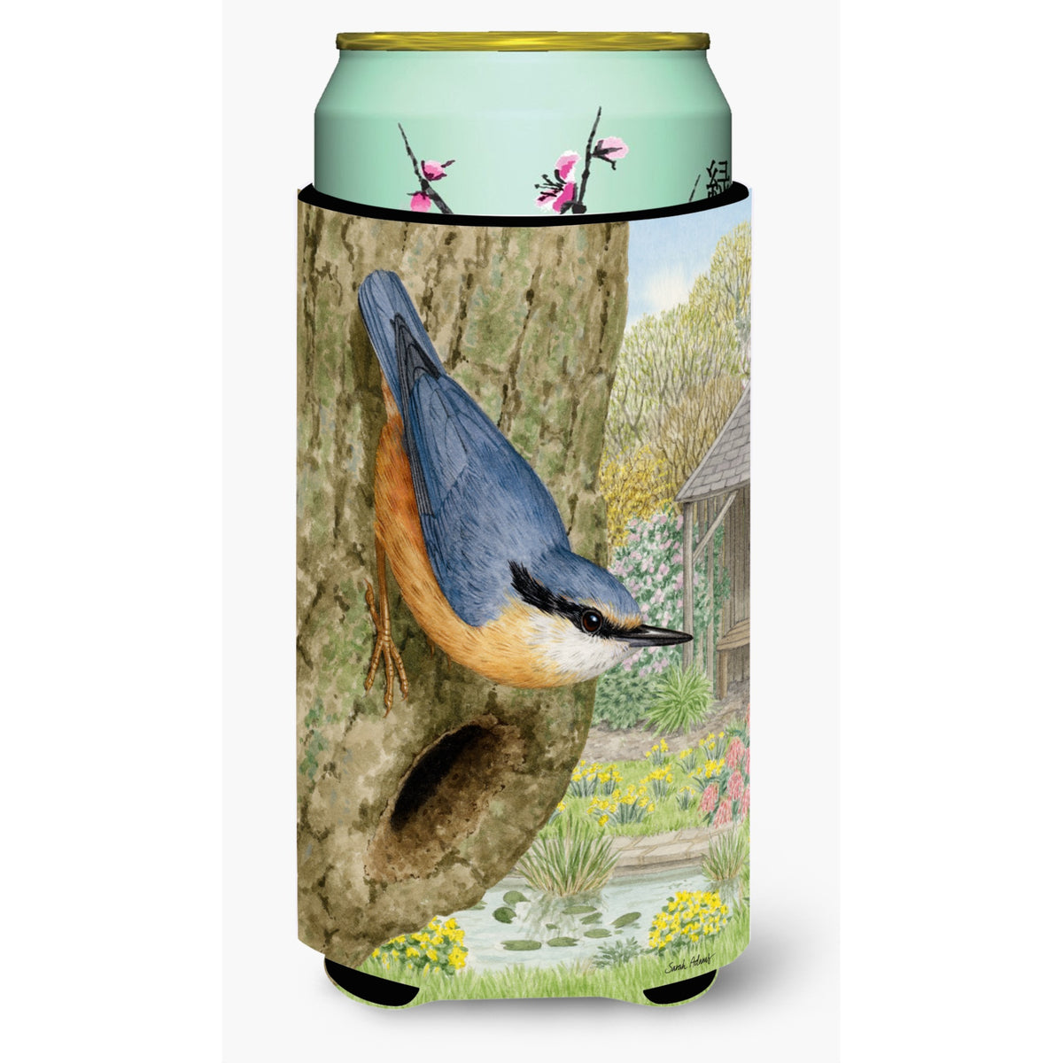 Caroline'S Treasures Red-Breasted Nuthatch Tall Boy Koozie Hugger, Multicolor