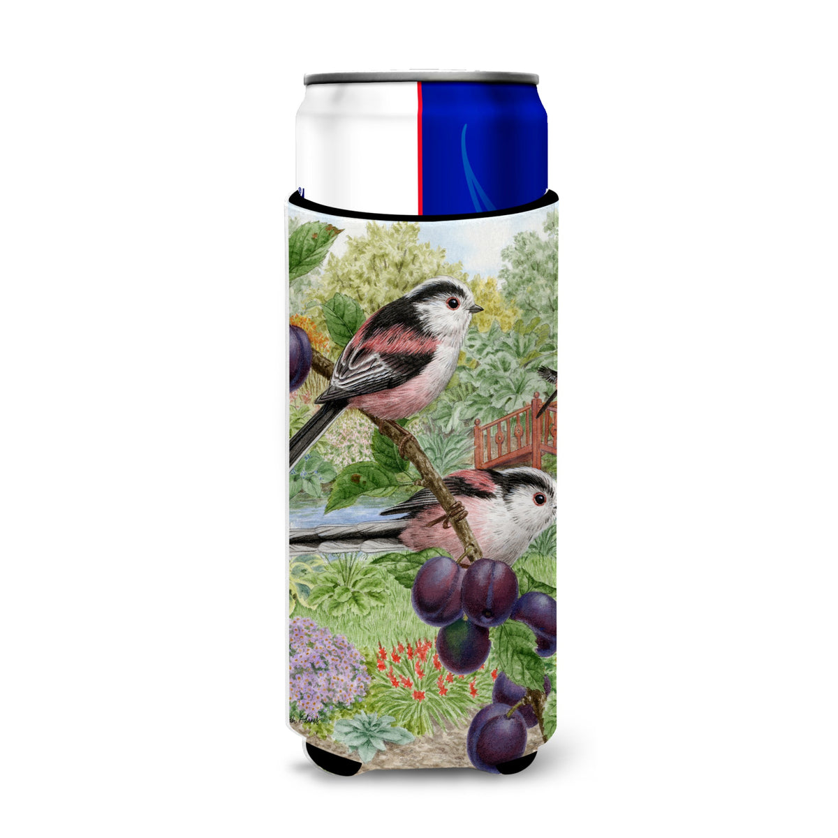 Caroline'S Treasures Asa2115Muk Long Tailed Tits Michelob Ultra Koozies For Slim Cans, Multicolor