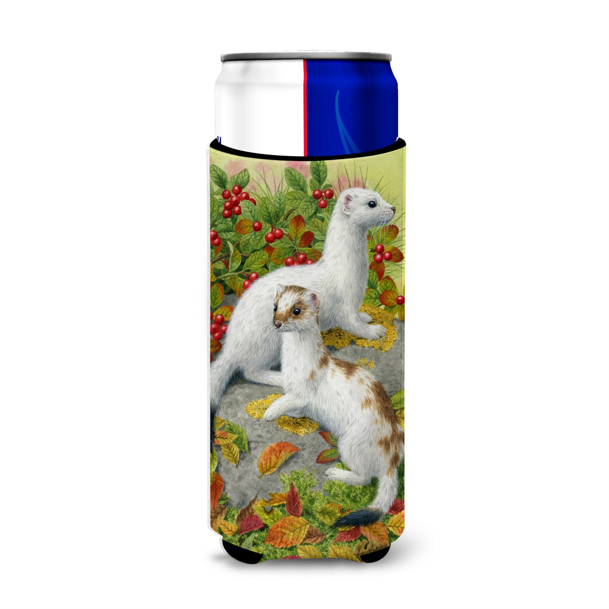 Caroline'S Treasures Ermine Stoat Short-Tailed Weasel Michelob Ultra Koozies For Slim Cans, Multicolor