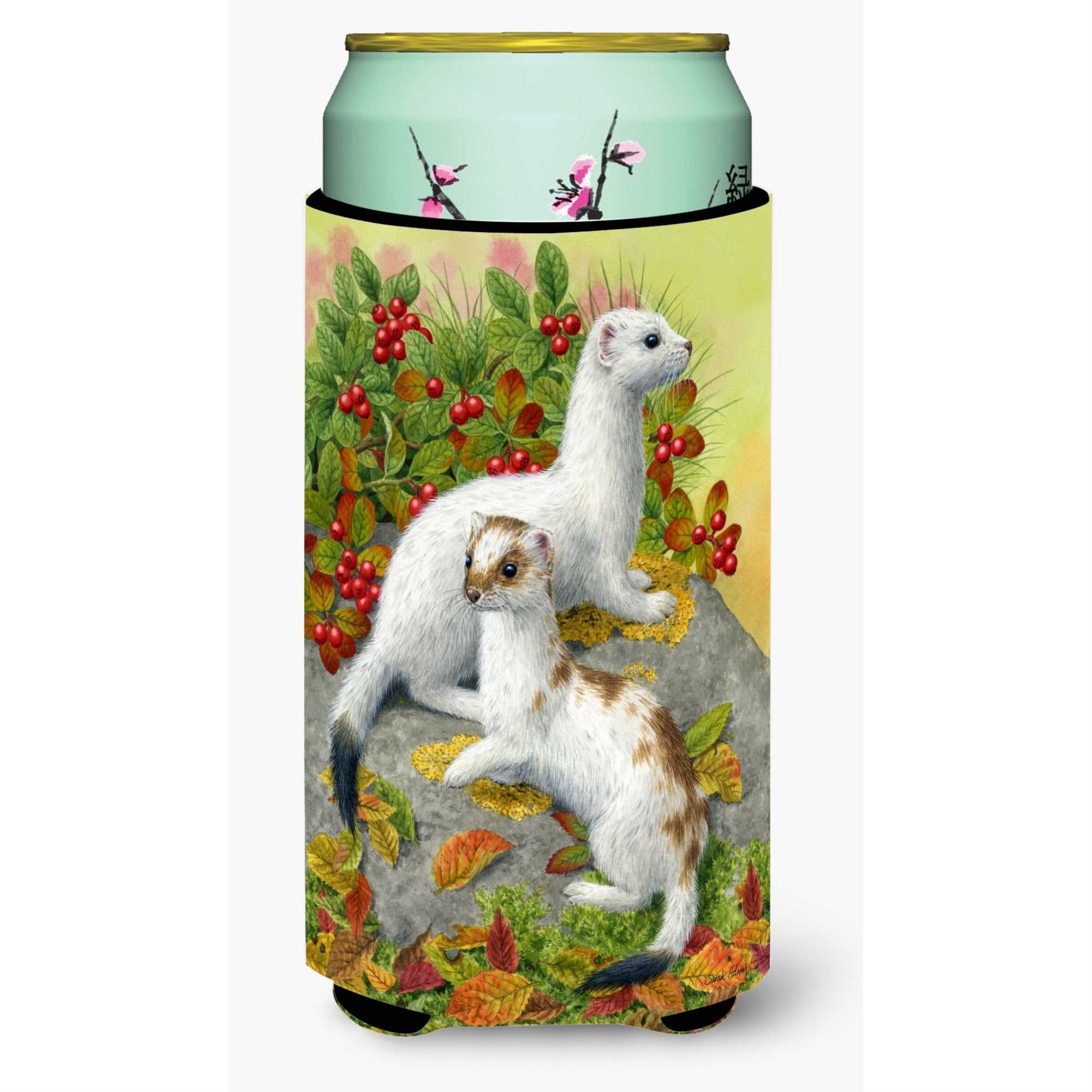 Caroline'S Treasures Ermine Stoat Short-Tailed Weasel Tall Boy Koozie Hugger, Multicolor