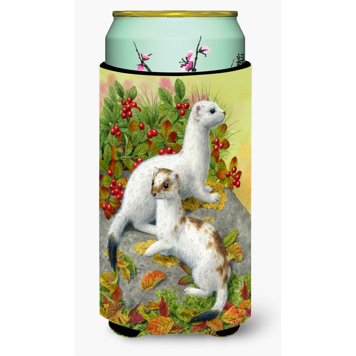 Caroline'S Treasures Ermine Stoat Short-Tailed Weasel Tall Boy Koozie Hugger, Multicolor
