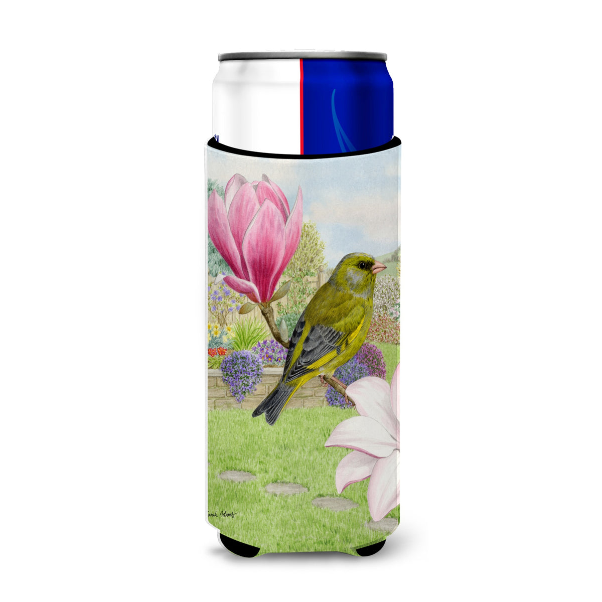 Caroline'S Treasures Asa2145Muk European Greenfinch Michelob Ultra Koozies For Slim Cans, Multicolor