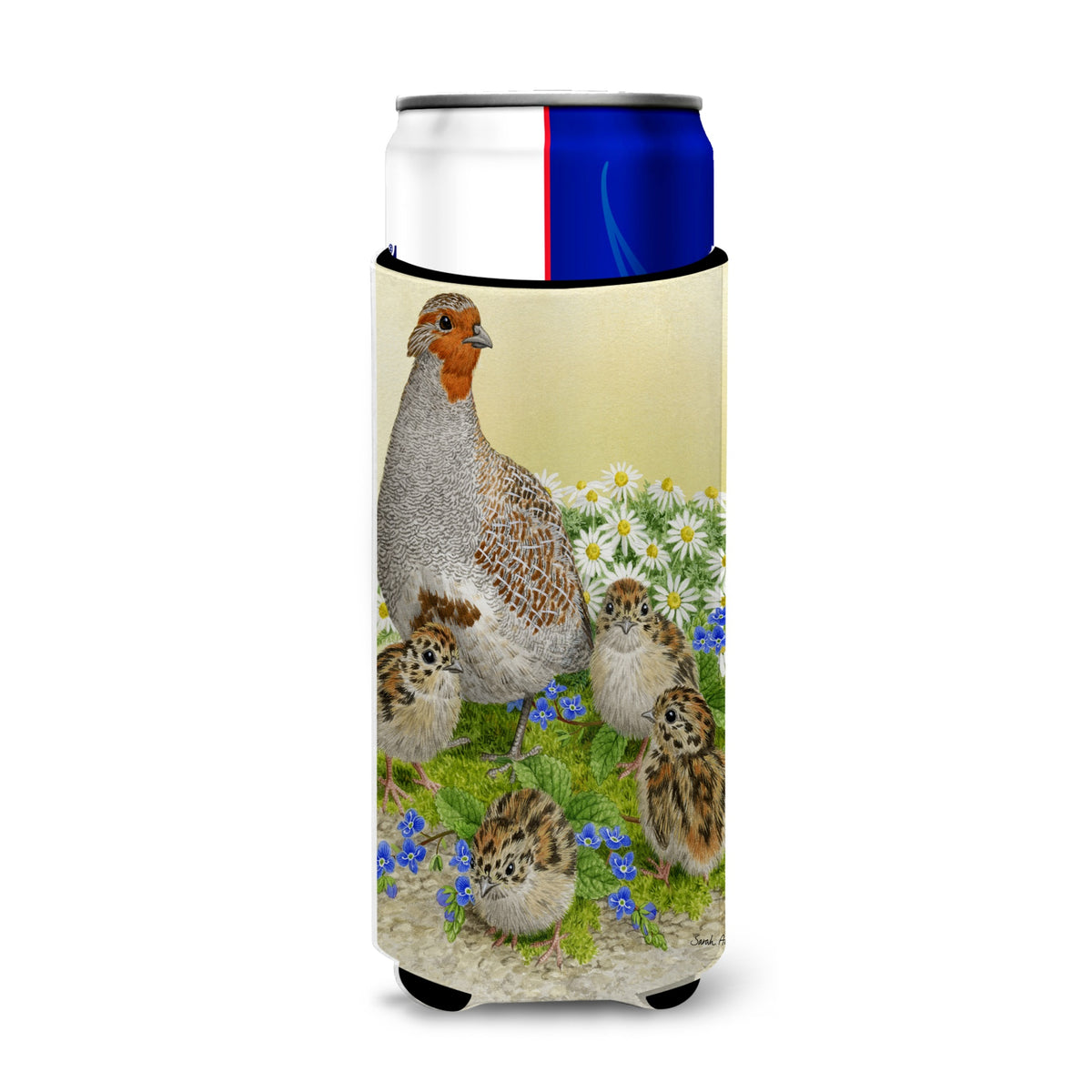 Caroline'S Treasures Partridge And Chicks Michelob Ultra Koozies For Slim Cans, Multicolor
