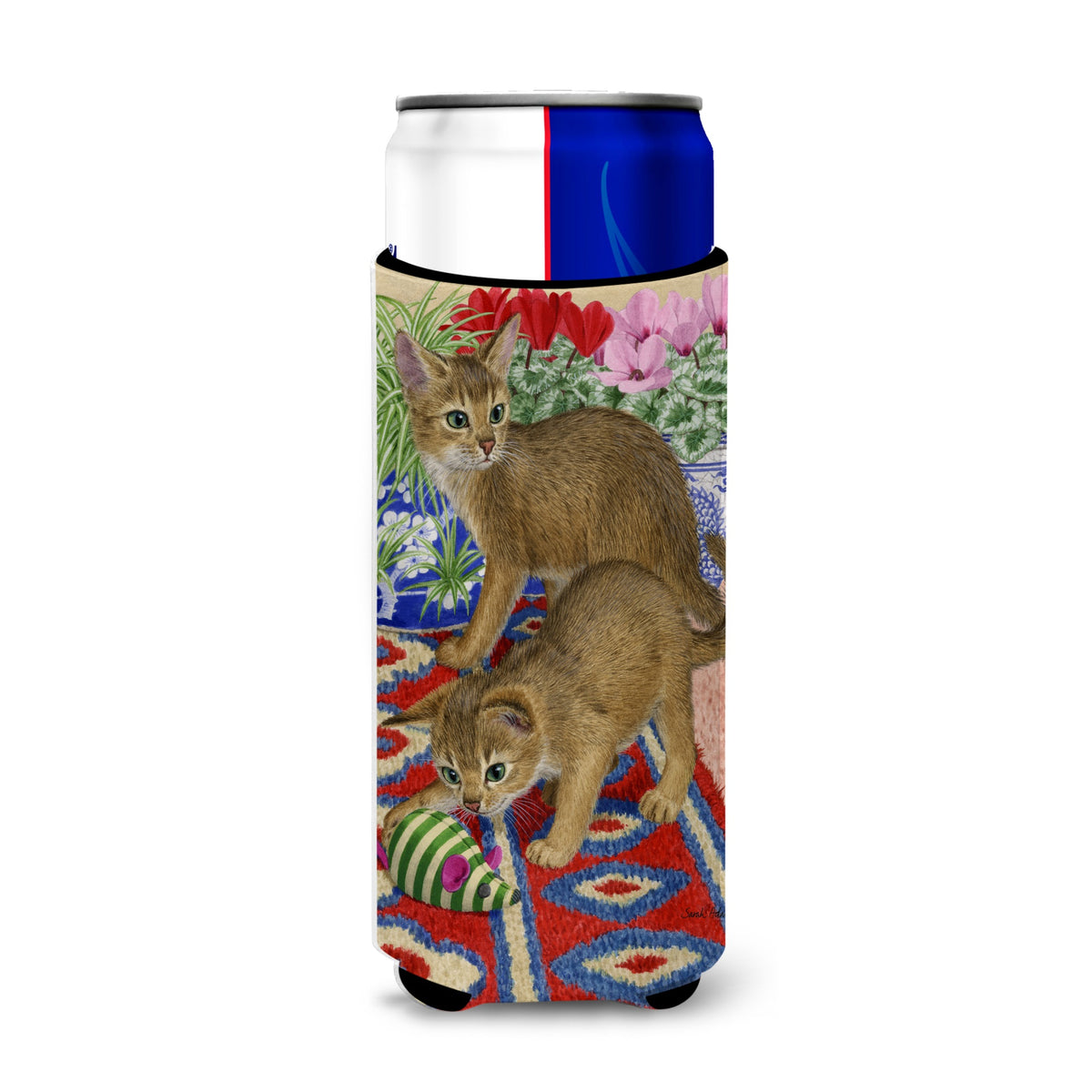 Caroline'S Treasures Abyssinian Kitten Michelob Ultra Koozies For Slim Cans, Multicolor