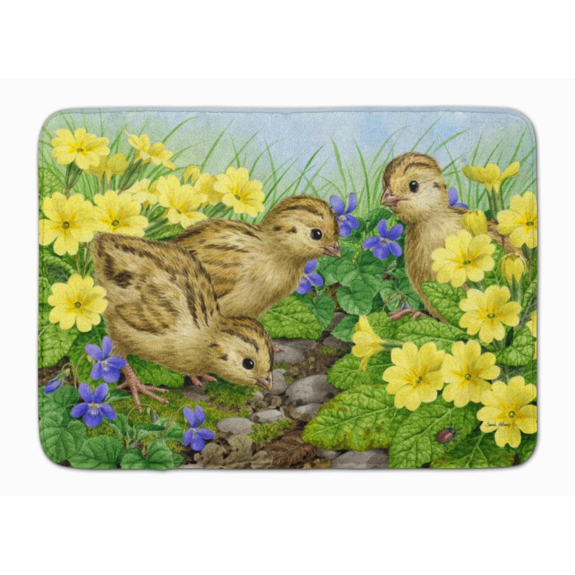 Caroline'S Treasures Pheasant Chicks Floor Mat, 19 X 27, Multicolor