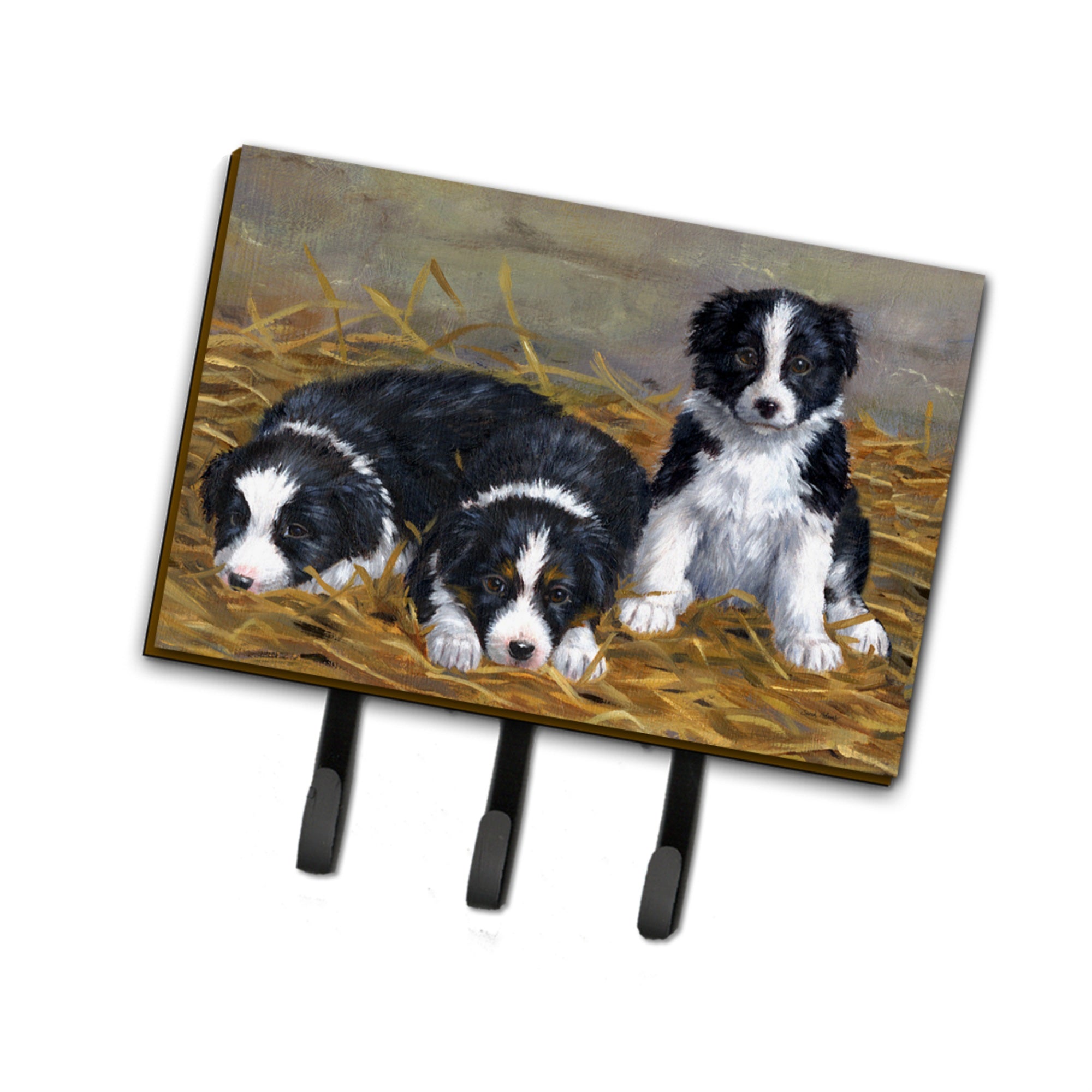 Caroline'S Treasures Asa2196Th68 Border Collie Puppies Leash Or Key Holder, Large, Multicolor