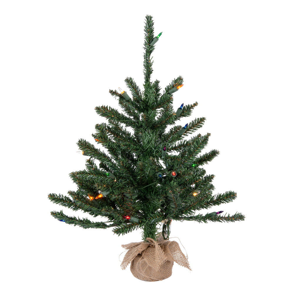 Vickerman 24″ Anoka Pine W/Burlap Base Dural 35MU - B160426