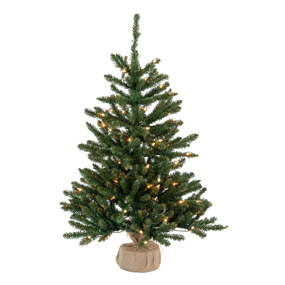 Vickerman 36″ Anoka Pine W/Burlap Base Dural 100CL - B160437