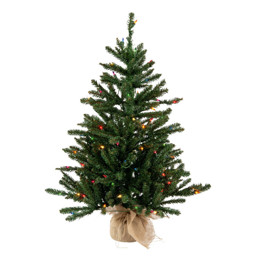 Vickerman 36″ Anoka Pine W/Burlap Base Dural 100MU - B160438