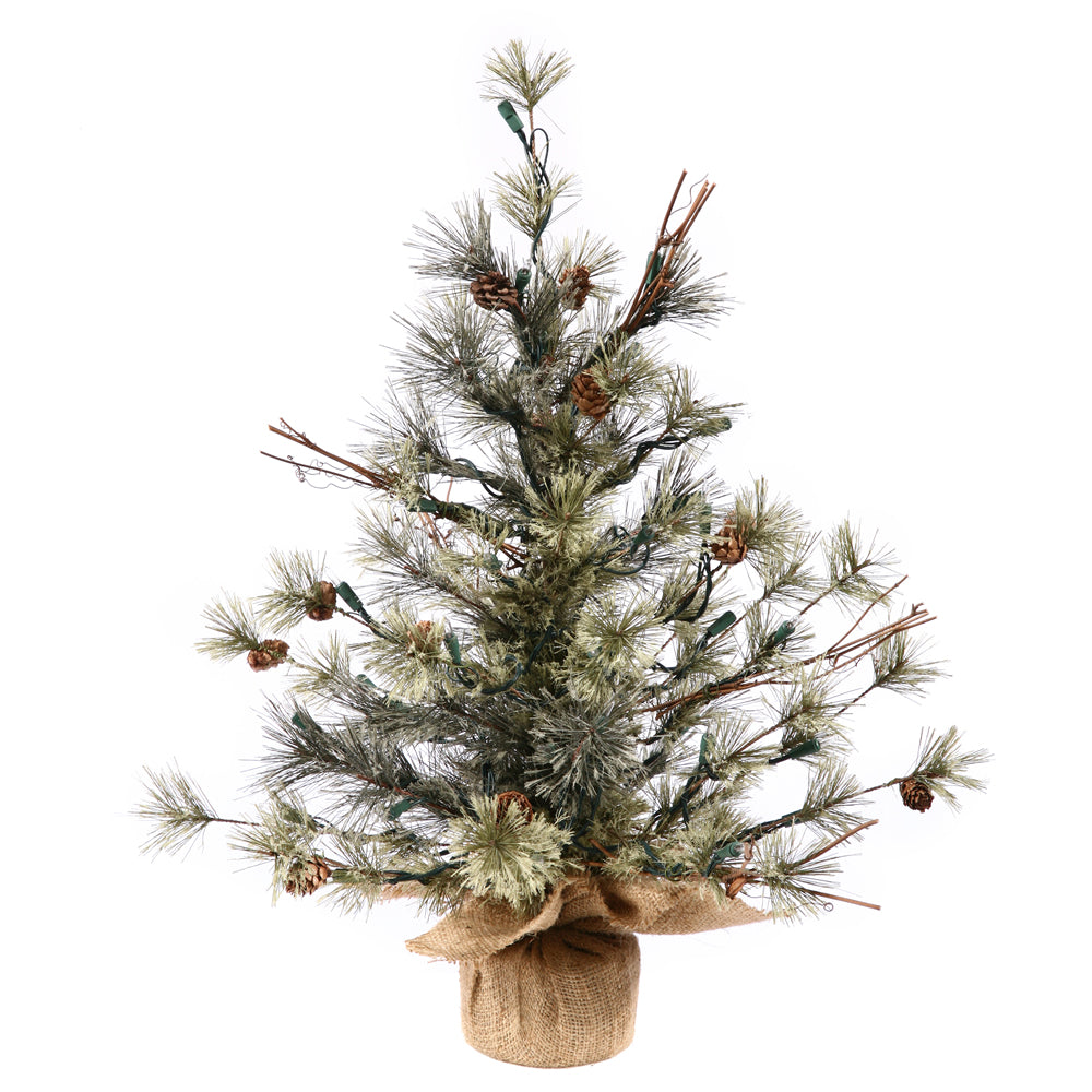 Vickerman 24″ Dakota Pine w/ Burlap Base 45 Tips - B165424