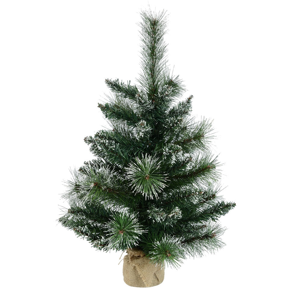 Vickerman 2' x 16″ Mixed Snow Tip Pine Tree 52T - B166424