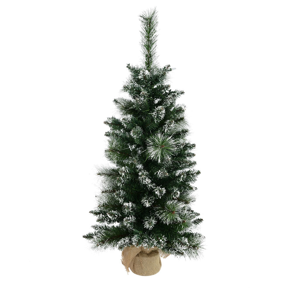Vickerman 3' x 17″ Mixed Snow Tip Pine Tree 134T - B166436