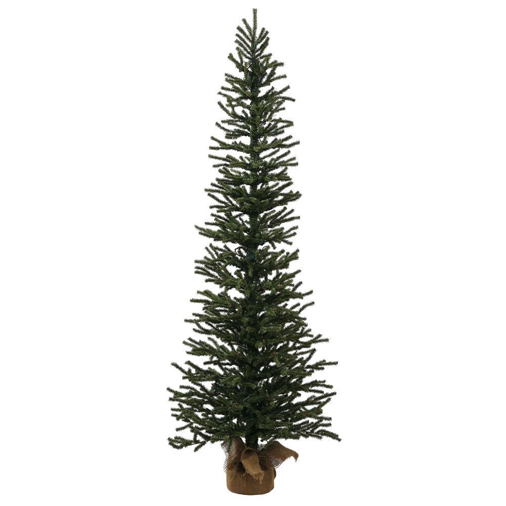 Vickerman 5' x 24″ Mini Pine Tree 1226T BurlapBase - B166850