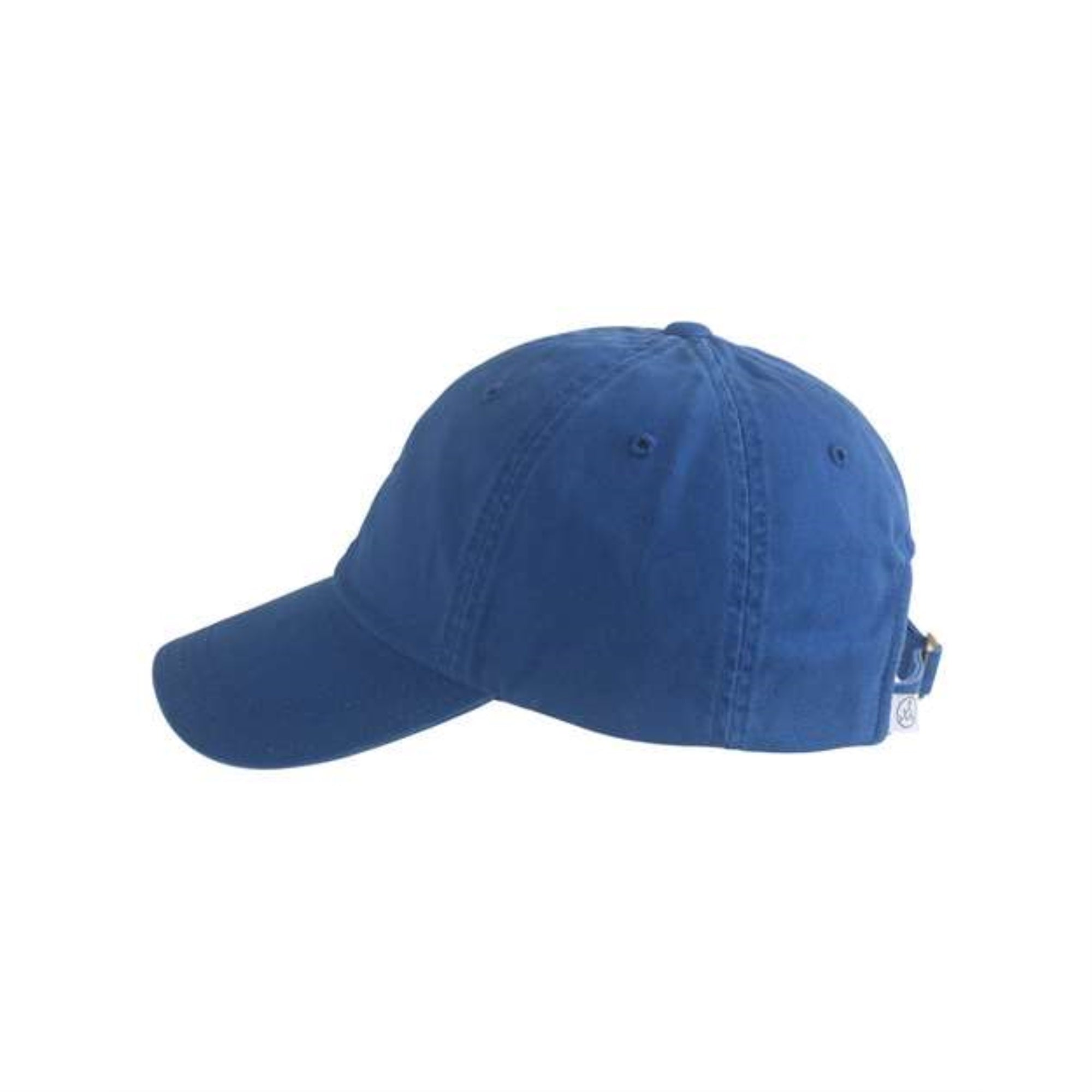 Alternative Dad Cap - Royal, One Size