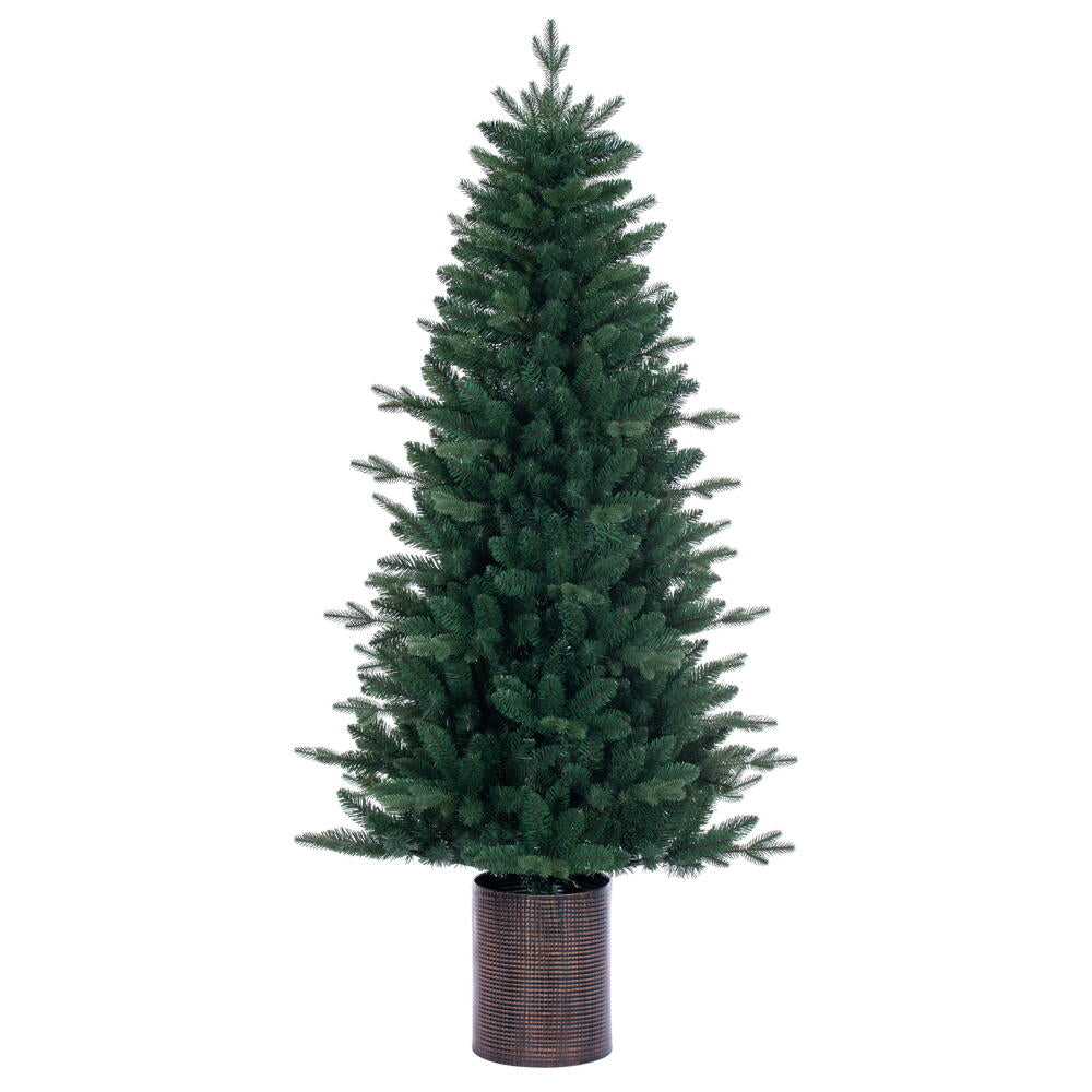6' x 39” Potted Spruce in Tin 811Tips