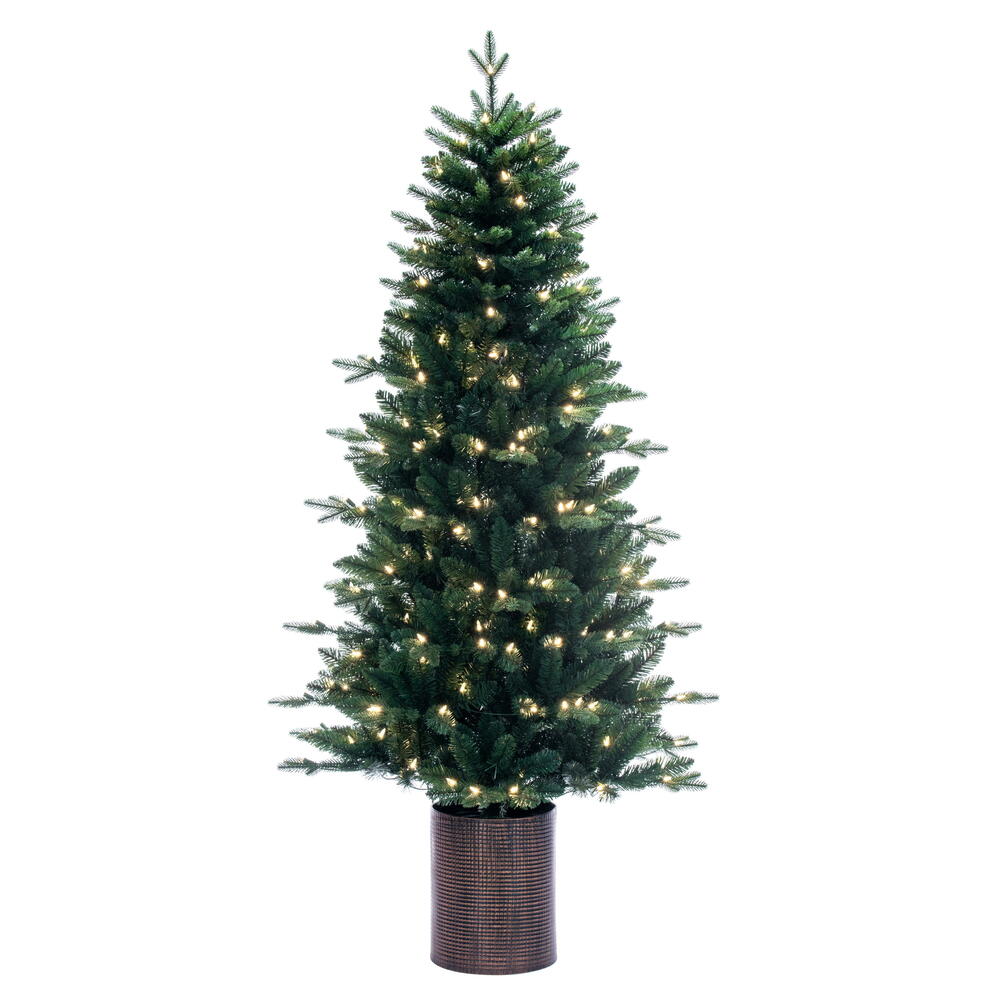 6' x 39” Potted Spruce Dura-Lit 200WW