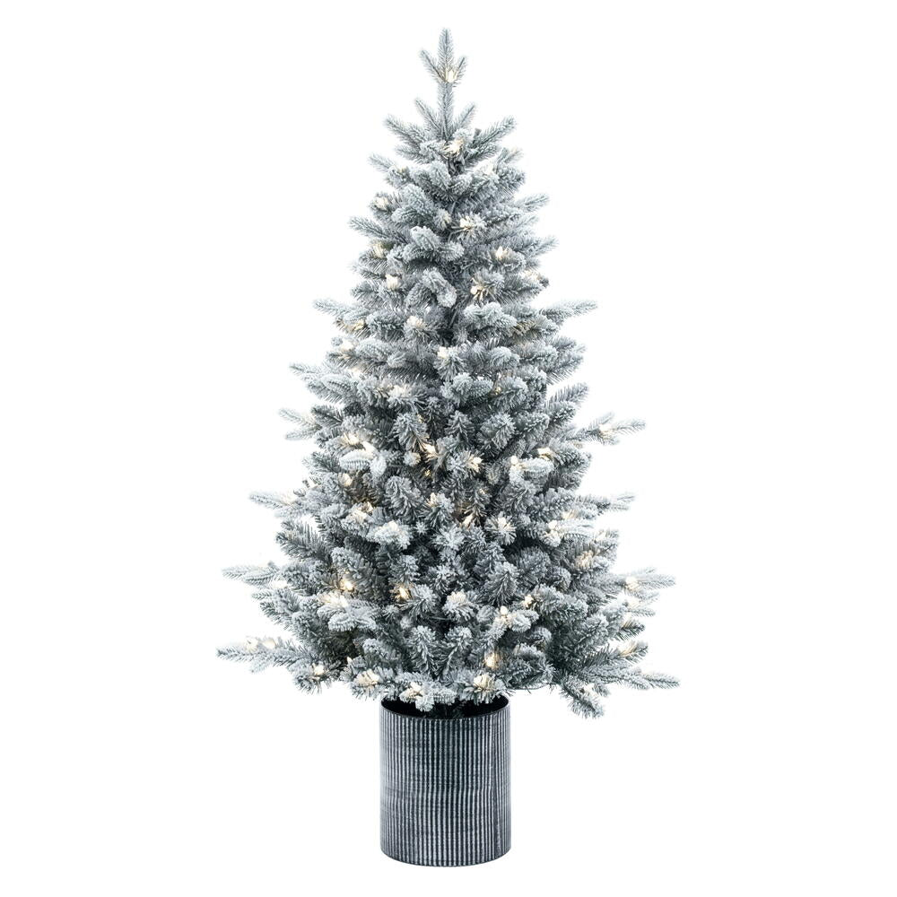 4.5' x 30” Frst Potted Spruce DuraL120WW