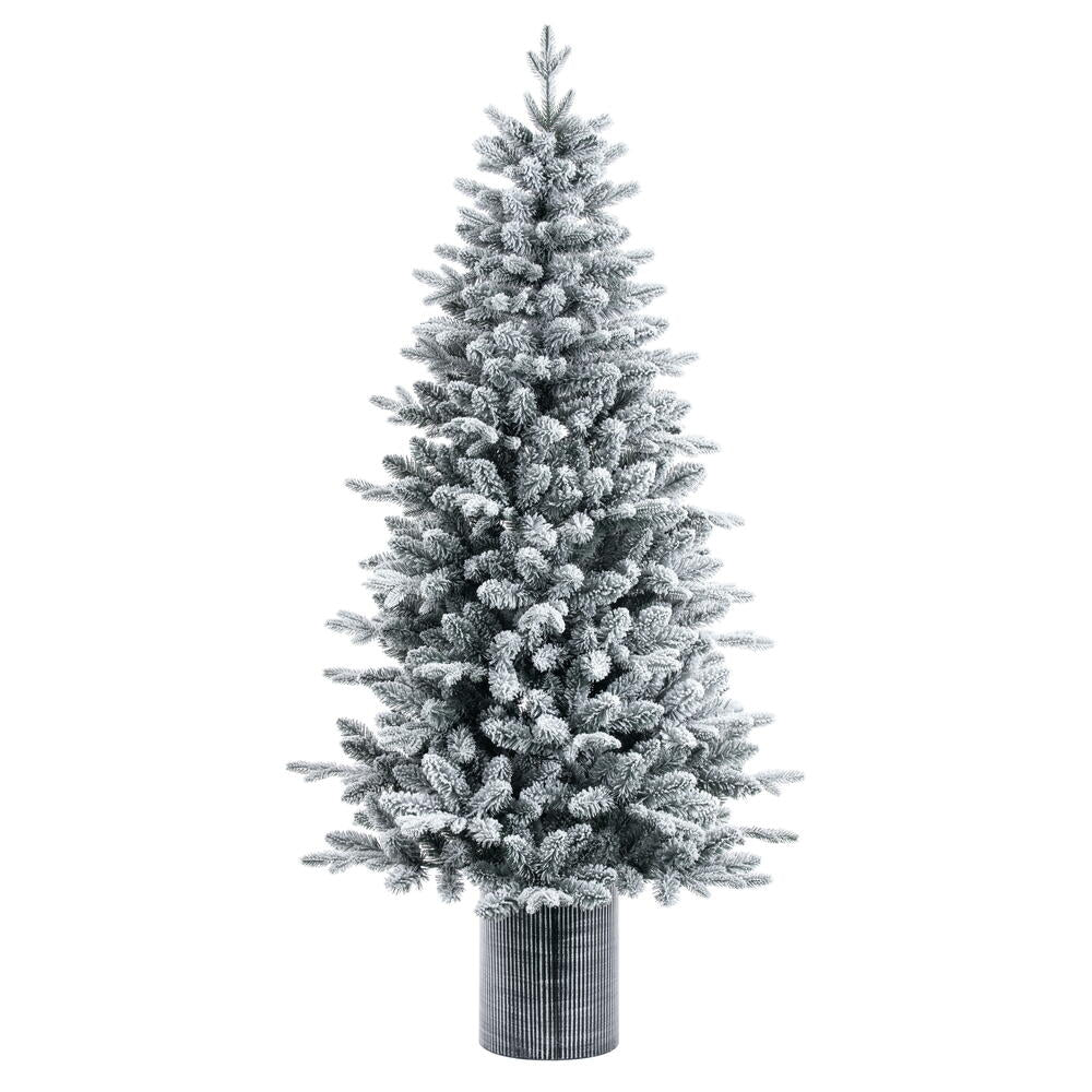 6' x 39” Frosted Potted Spruce 811Tips