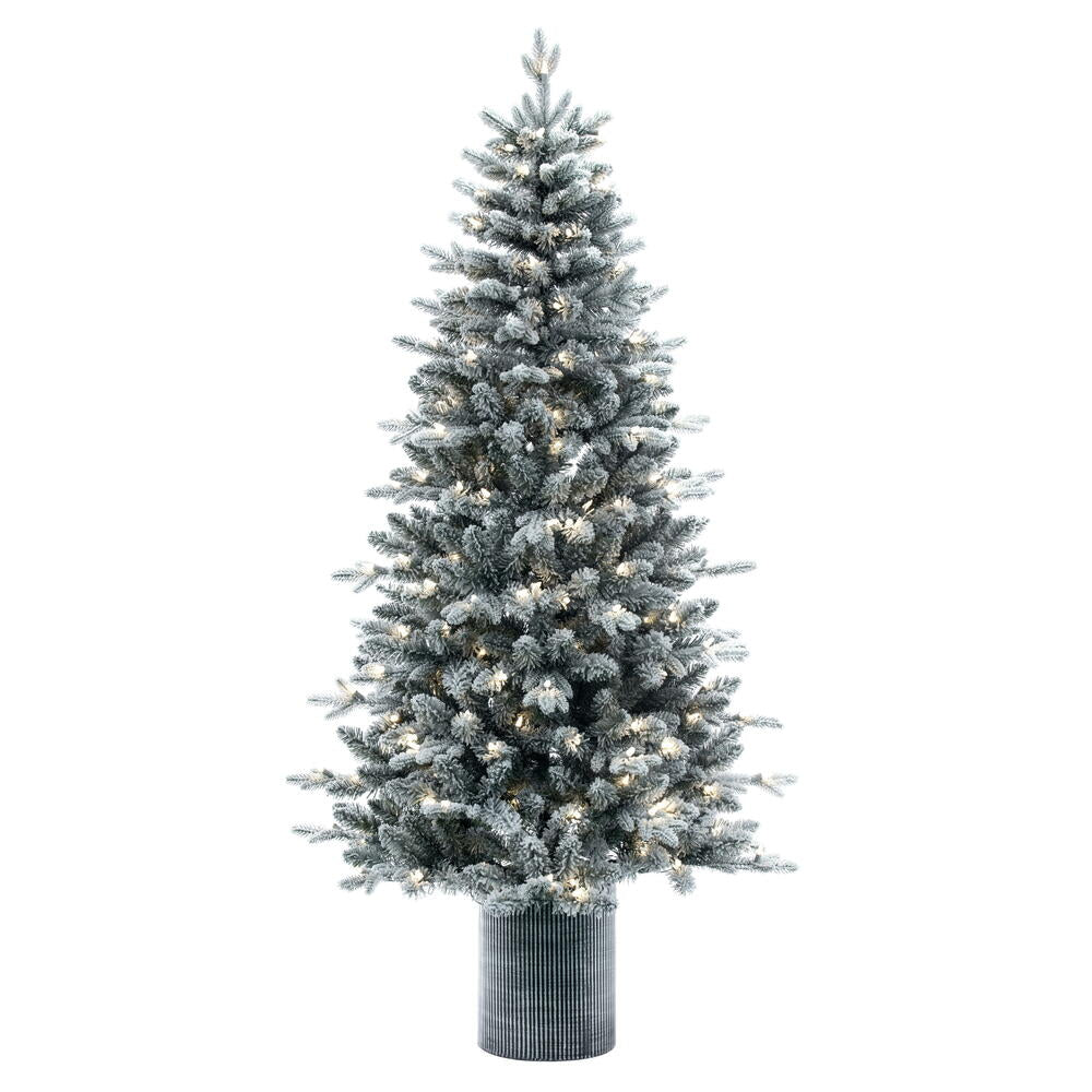 6' x 39” Frst Potted Spruce DuraLt 200WW