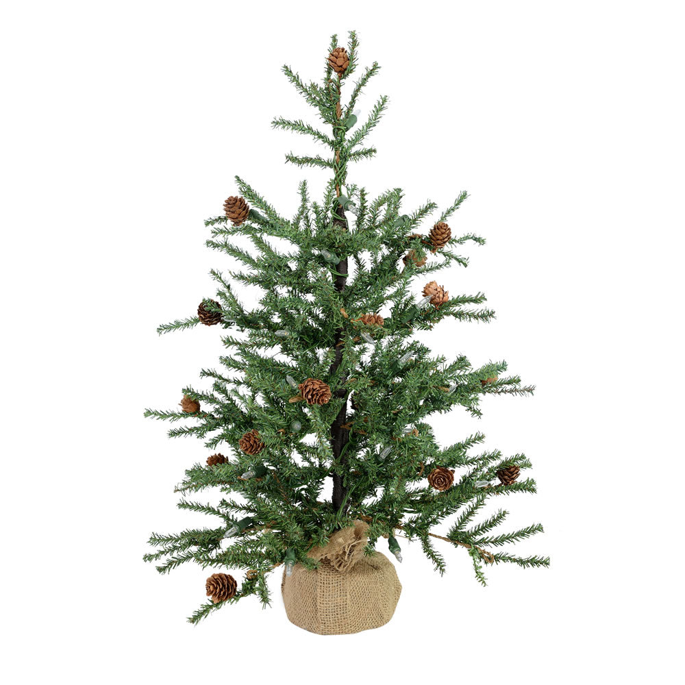 Vickerman 24″ Carmel Pine w/Cones 480T Burlap Base - B803921