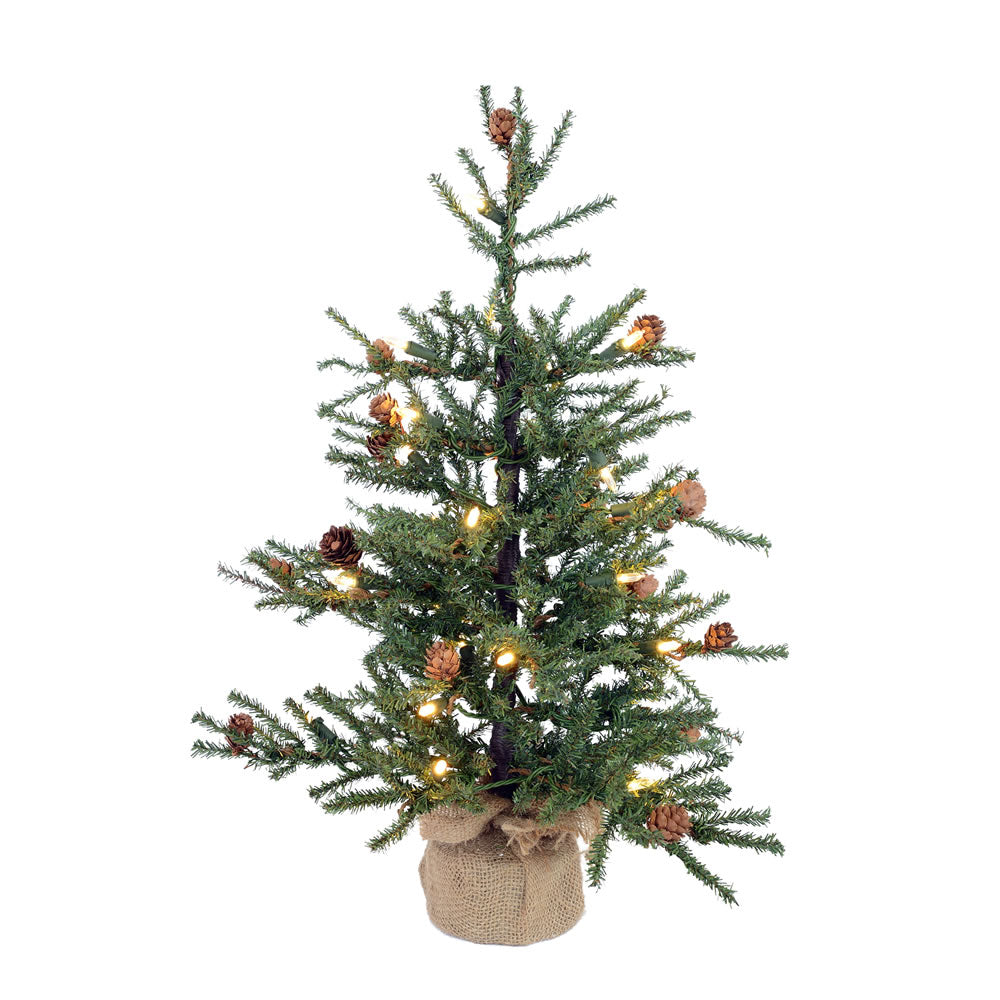 Vickerman 42″ Carmel Pine 70LED WmWht Burlap Base - B803928LED