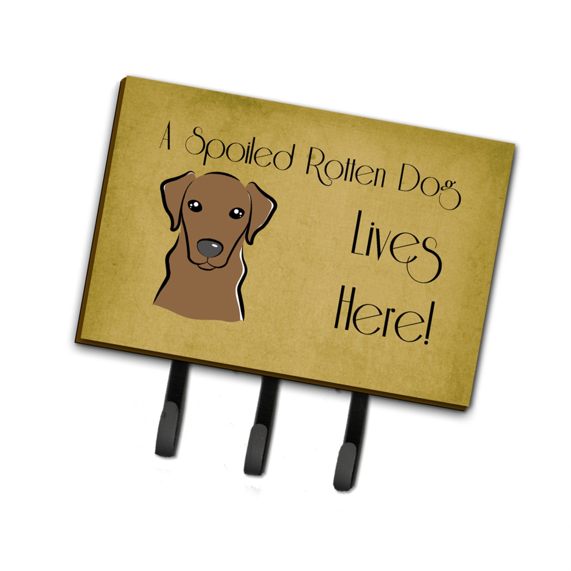 Caroline'S Treasures Bb1482Th68 Chocolate Labrador Spoiled Dog Lives Here Leash Or Key Holder, Large, Multicolor