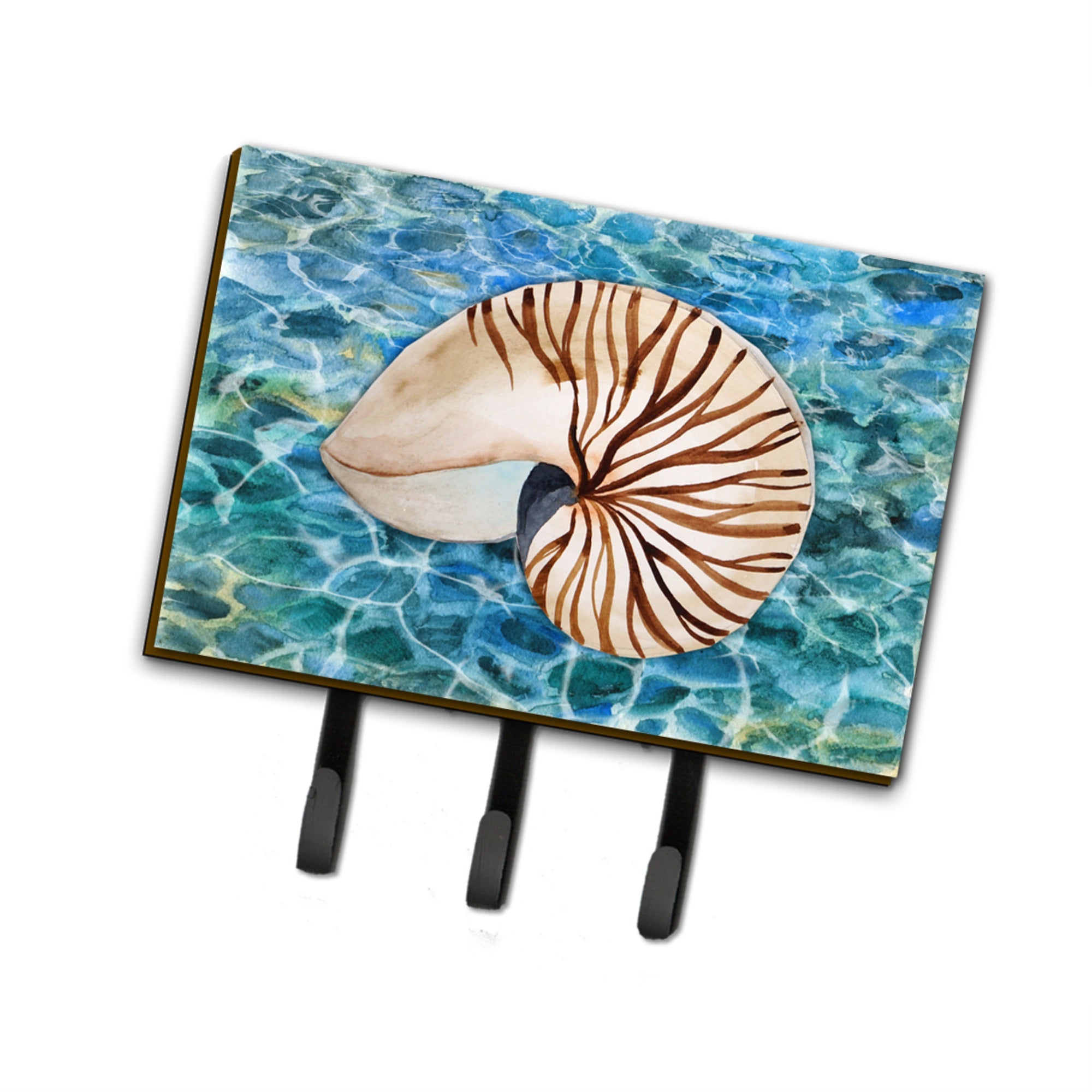 Caroline'S Treasures Sea Shell And Water Wall Hook, Triple, Multicolor
